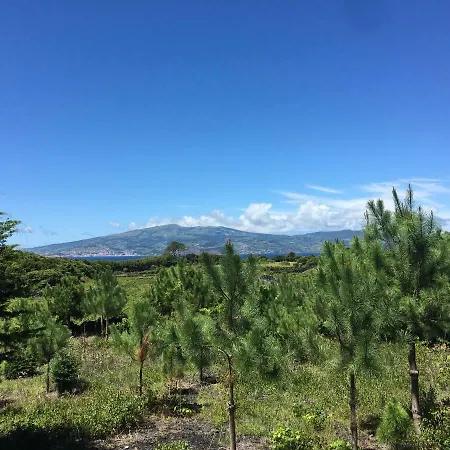 Pico - Casa Dos Cedros * Criacao Velha